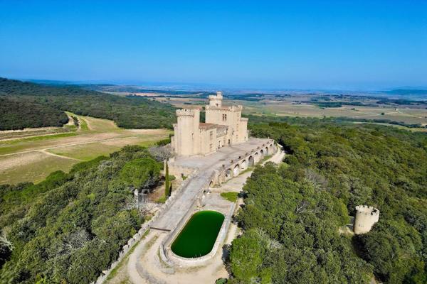 Vente Château Pont-Saint-Esprit 9 Pièces 385 m²