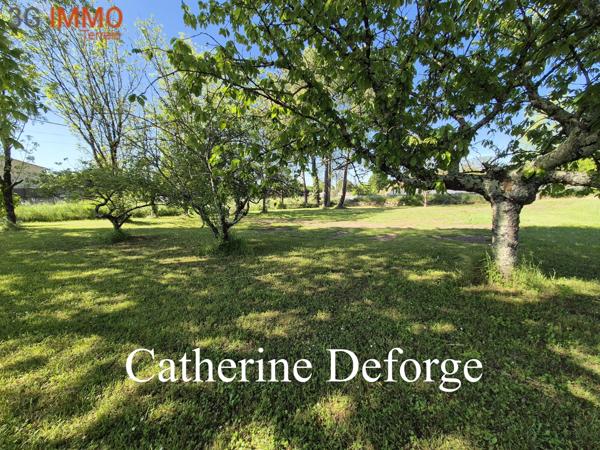 Vente / Terrain constructible