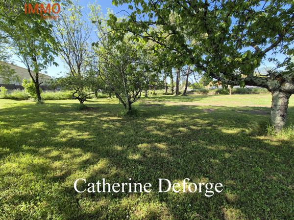 Vente / Terrain constructible