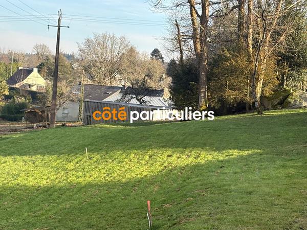 Vente
                Terrain1174 m² - CAMORS (56330)
