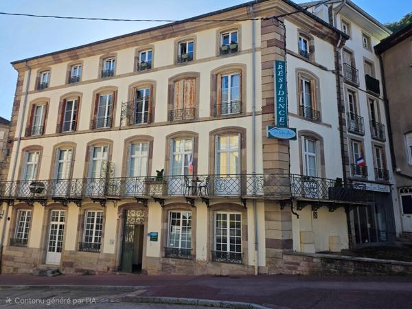 T3 de 48 m² entièrement rénové en plein cœur de plombières les bains