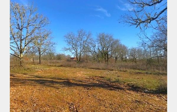 Vente Terrain Constructible viabilisé Aujols   