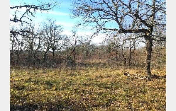 Vente Terrain Constructible viabilisé Aujols   