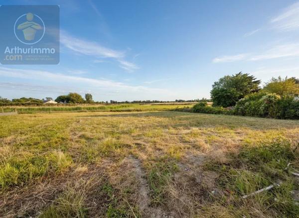 Vente                                                      Terrain
                        
                                         464 m2                     à La Barre-de-Monts