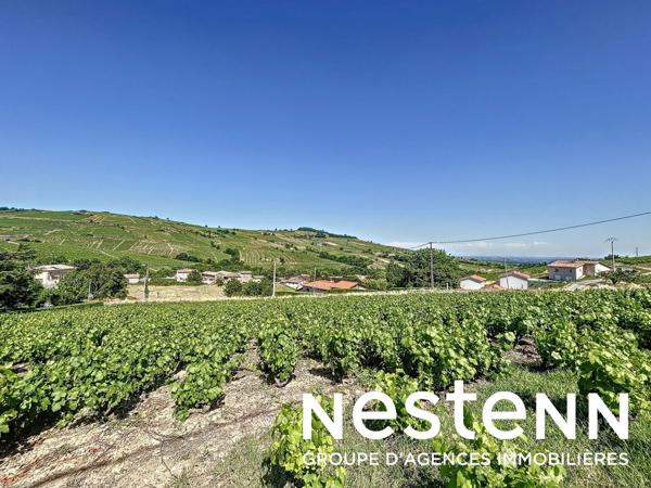 Terrain Constructible de 1300 m² environ - 69840 JULIENAS