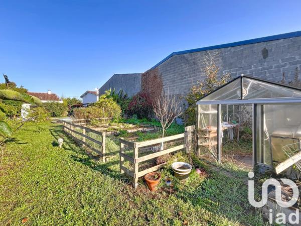 Maison à vendre 5 pièces 260 m² Dax