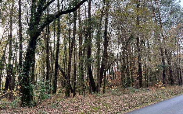 Terrain à vendre    Bénesse-Maremne