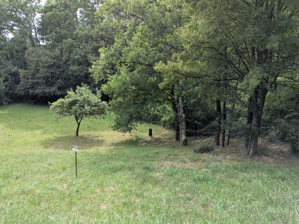 ONZAIN - 20 KMS DE BLOIS - 20 KMS D AMBOISE