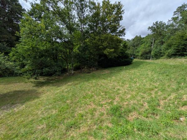 ONZAIN - 20 KMS DE BLOIS - 20 KMS D AMBOISE