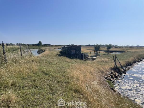 Terrain de loisirs 17000 m² à Jard-sur-Mer 85520