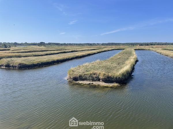 Terrain de loisirs 17000 m² à Jard-sur-Mer 85520