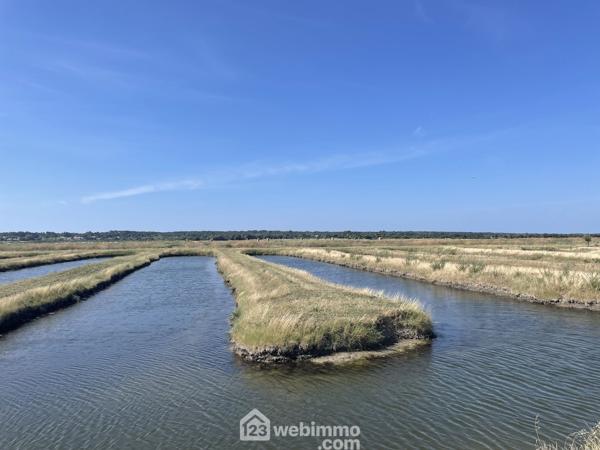 Terrain de loisirs 17000 m² à Jard-sur-Mer 85520