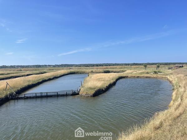 Terrain de loisirs 17000 m² à Jard-sur-Mer 85520