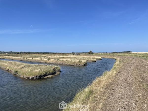 Terrain de loisirs 17000 m² à Jard-sur-Mer 85520