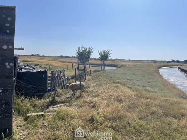 Terrain de loisirs 17000 m² à Jard-sur-Mer 85520
