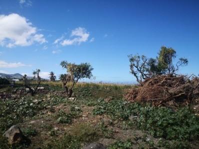 Terrain de 250m 2 tout a l egout proche pierrefonds