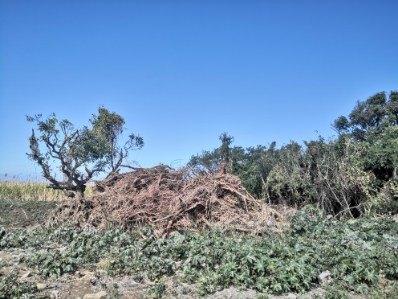 Terrain de 250m 2 tout a l egout proche pierrefonds