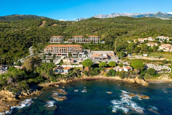 Appartement à vendre  1 pièce •  Sari-Solenzara