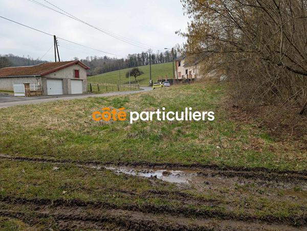 Vente Terrain3254 m² - FAINS VEEL (55000)