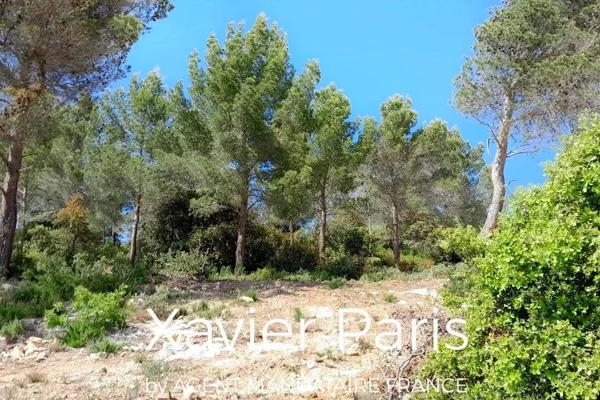 Immobilier Rognes (13840) – Terrain 1263m2 – 367 000 €