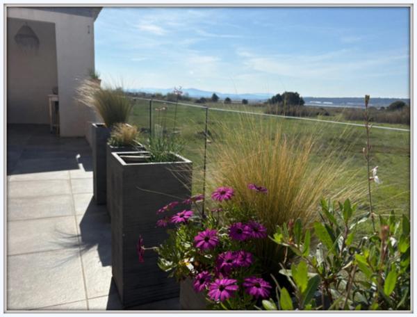 Maison à vendre 7 pièces GRUISSAN (11)