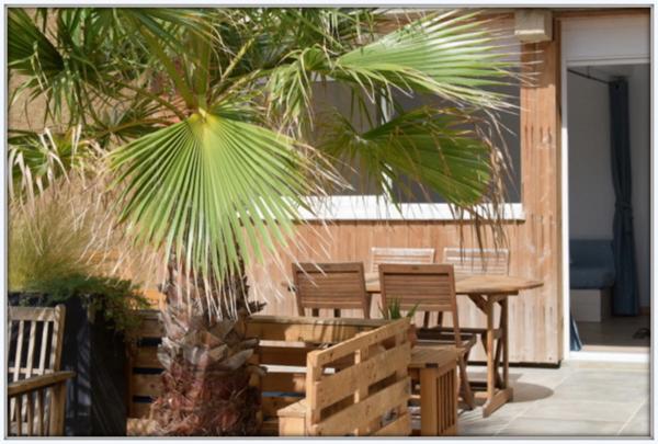 Maison à vendre 7 pièces GRUISSAN (11)