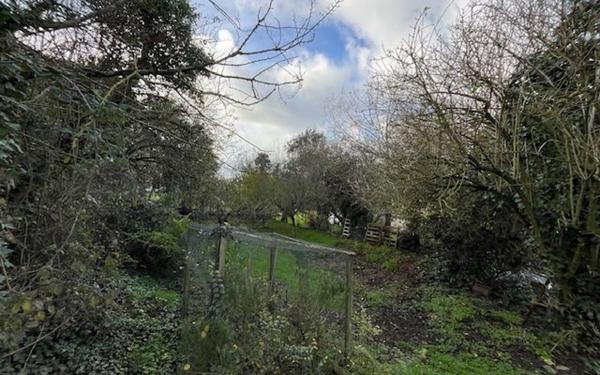 Terrain à vendre    Jard-sur-Mer