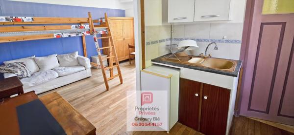 Maison bourgeoise 7 pièce(s) 220 m2