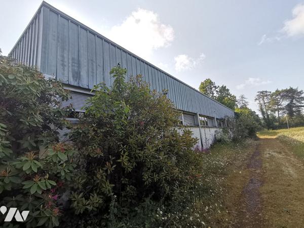 IFFENDIC - Propriété de 562 m² habitables avec dépendances sur terrain paysagé de 4 hectares