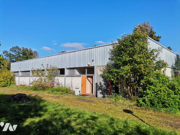 IFFENDIC - Propriété de 562 m² habitables avec dépendances sur terrain paysagé de 4 hectares