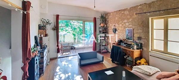 Mas de ville T11 avec jardin et appartement