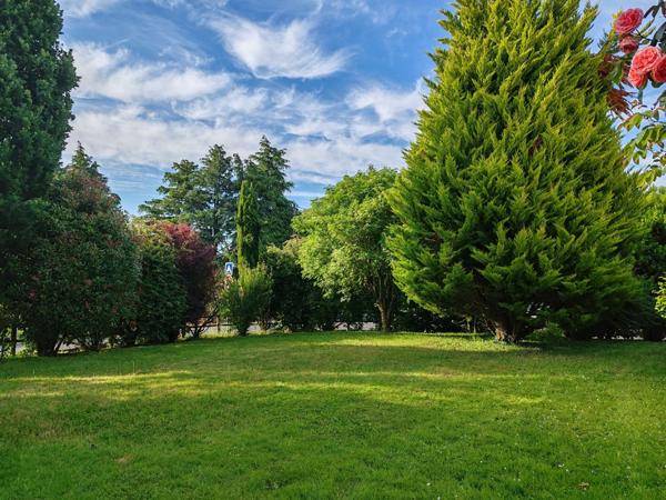 Vente Terrain514 m² - ANDREZE (49600)