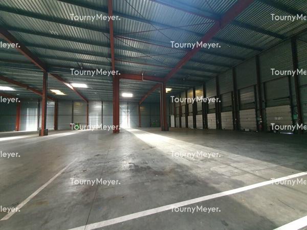 BATIMENT LOGISTIQUE/INDUSTRIEL A LOUER - AMBARES ET LAGRAVE