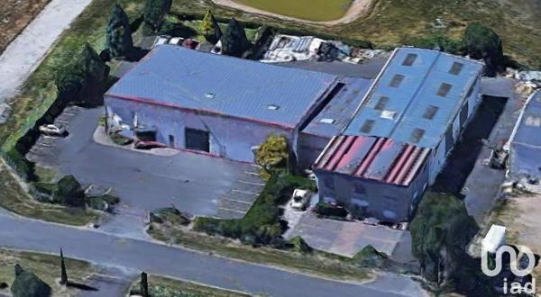Murs commerciaux  à vendre 1 845 m² Pocé-sur-Cisse