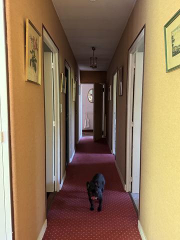 Saint-Grégoire (35760) Maison d'architecte 5 pièces de plain pied Centre ville Saint Grégoire