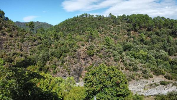Mas en pierre en Cévennes avec 7ht de terrain garage et piscine vue panoramique