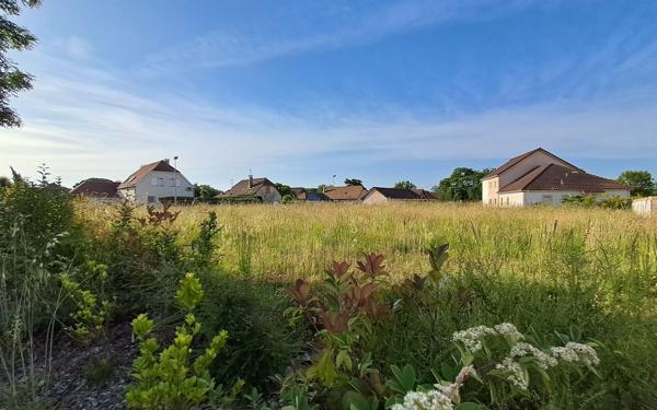 Terrain à vendre