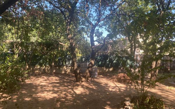 Maison à vendre    4 pièces •  Lapalud