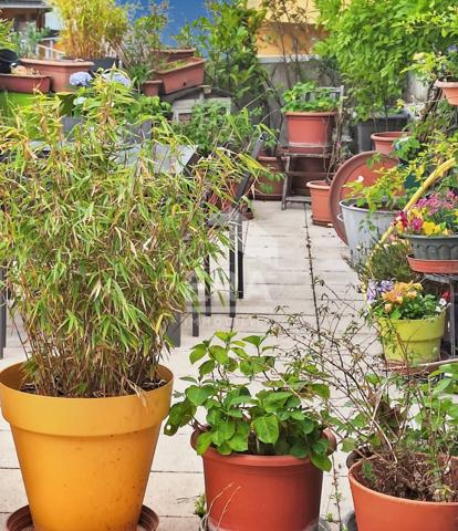 Charmant triplex lumineux avec terrasse  garage et buanderie