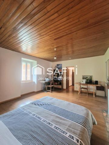 Charmant ensemble immobilier lumineux avec vue imprenable sur les Pyrénées, idéal pour un projet touristique ou personnel