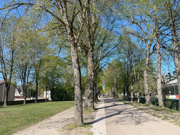 Appartement hyper centre ville de Provins  deux pieces / gare a pied