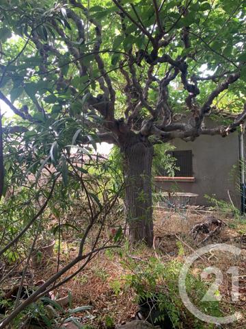 Maison à vendre  11 pièces - 150 m 2   CASTELNAU D AUDE  - 11