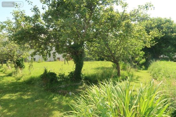 Maison à vendre à Plougastel-Daoulas dans le Finistère (29470), ref : 29038-1633