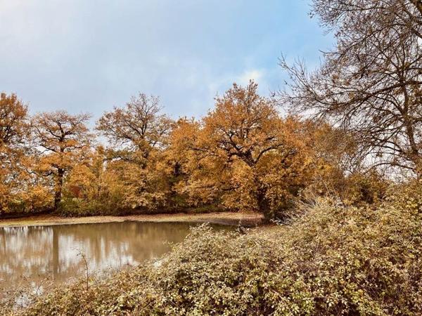 Maison à vendre |  Parçay-les-Pins |  5 pièces | 114 m²