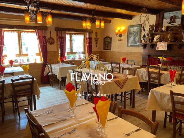 Guillaumes (06470) propriété - murs commerciaux