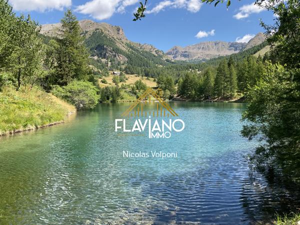 Guillaumes (06470) propriété - murs commerciaux