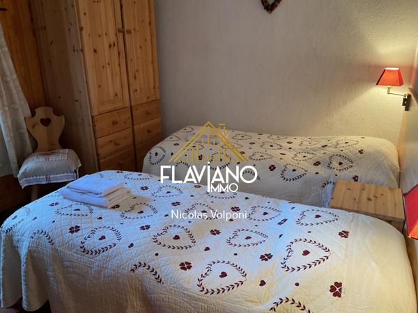 Guillaumes (06470) propriété - murs commerciaux