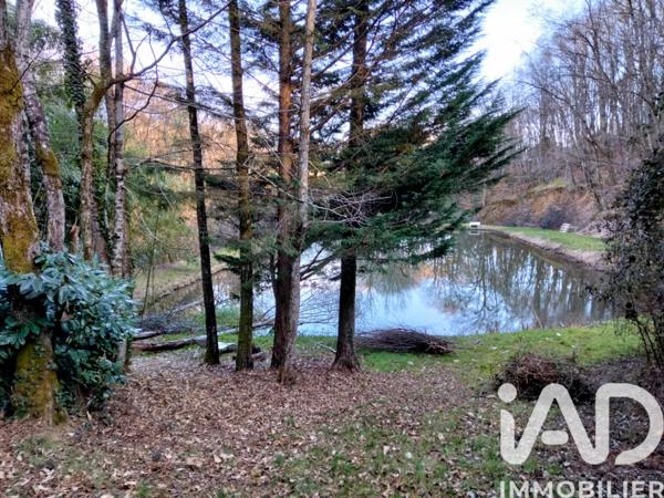 Terrain à vendre 19 358 m² Saint-Hilaire-Peyroux
