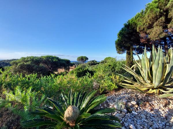 Propriété golfe saint tropez