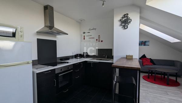 Appartement T2 Meuble 24.94m² (42,58m² Au Sol) - Ancenis Saint Gereon